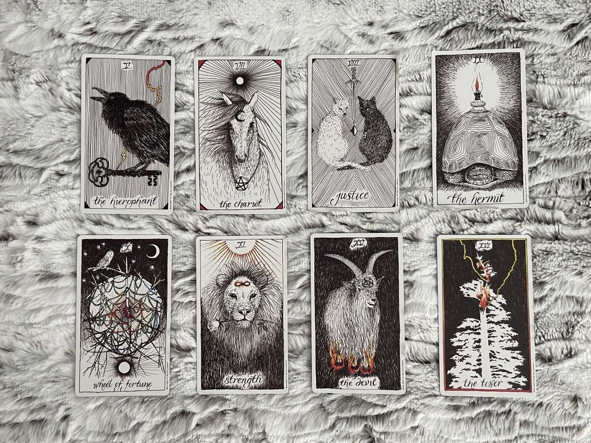 Discover the Power of The Unknown Wild Tarot Deck